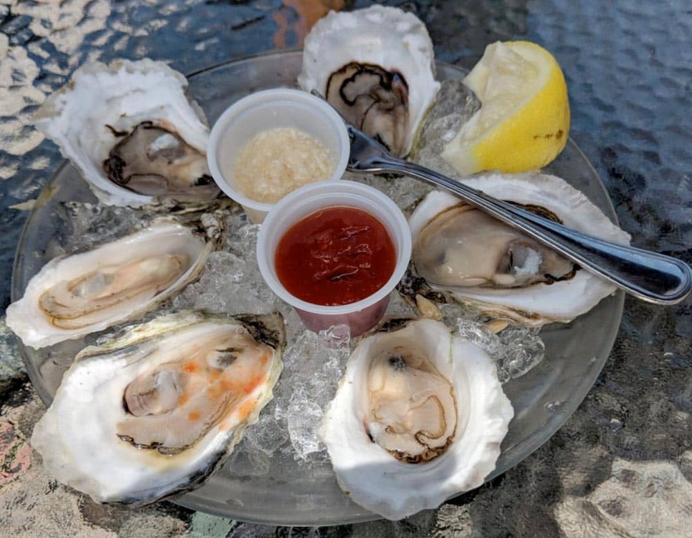 Platter of raw oysters on ice.