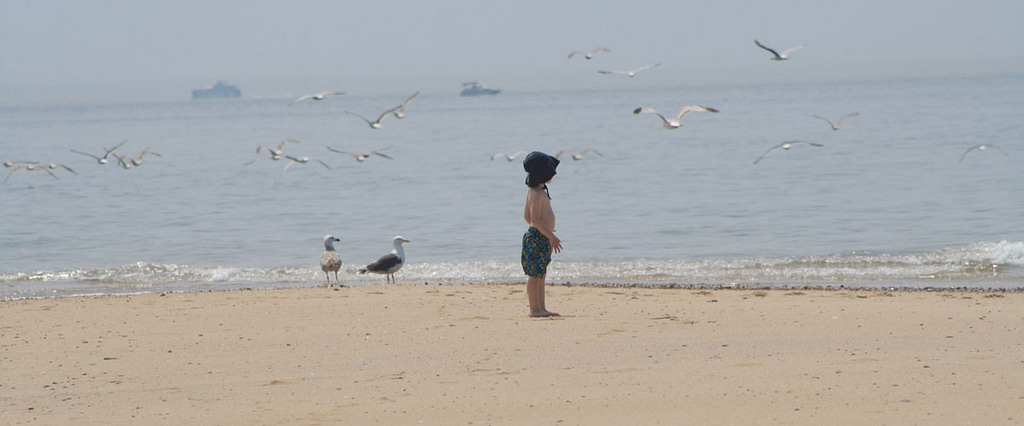 A kid stands under seagulls flying near the ocean at a beach on cape cod.