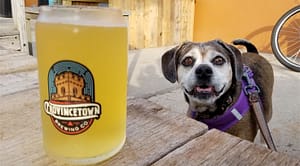 The list of Breweries that allow dogs on Cape Cod includes Provincetown Brewing Company in P-town.