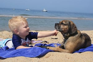 Find the best beaches fin Cape Cod for Families