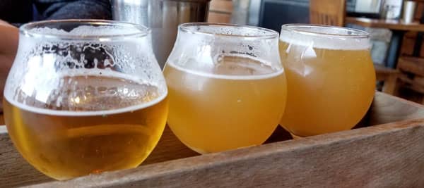 Most of the breweries on Cape Cod that allow dogs have outdoor seating that is pet-friendly so you can enjoy a flight of beers while your dog joins you. 