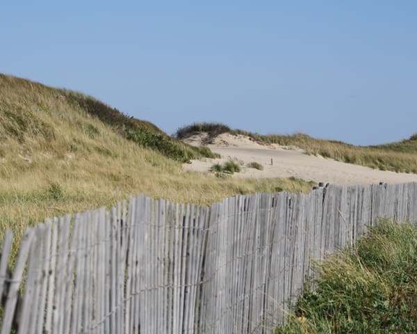 fence and dunes at head of the meadow beach
