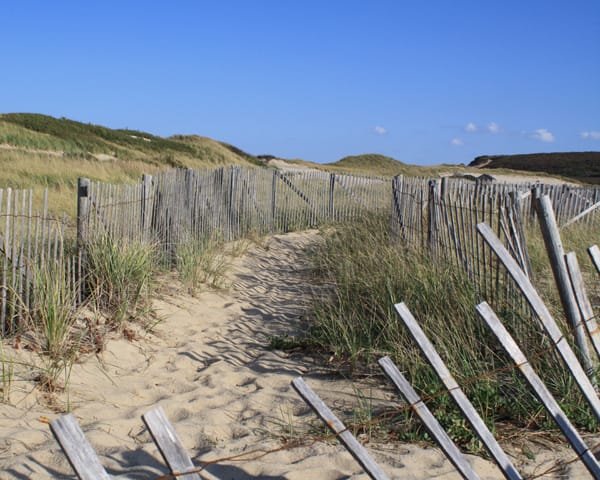 beach fence lines the path at head of the meadow beach in truro