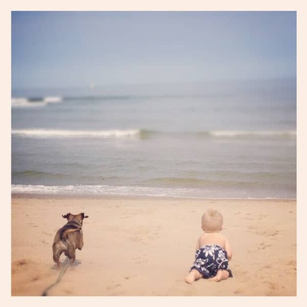 A boy and his dog playing at the beach.