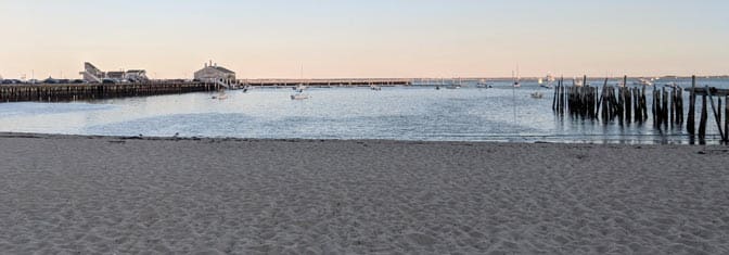 The beaches off of Commercial Street in Provincetown are the only beaches that allow dogs off-leash during the summertime.