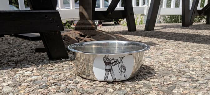 The dog bowl at Brine and Joey's Tacos welcomes dogs to these restaurants in Eastham.