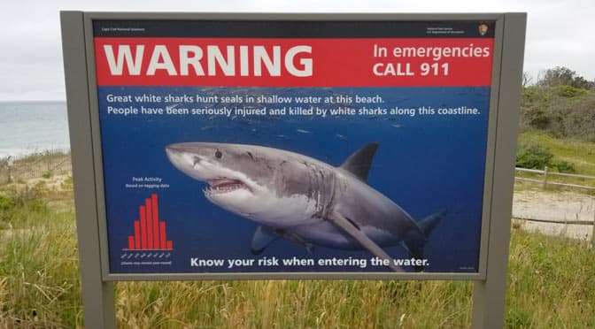 A warning sign for Great White Sharks  awaits visitors at Cape Cod National Seashore Beaches. 