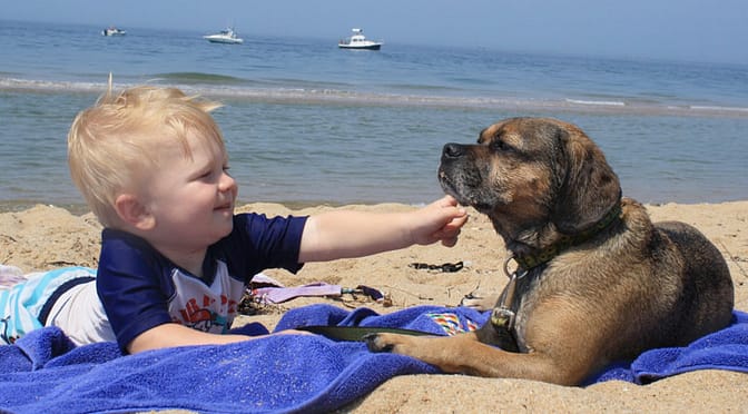Best Beaches in Cape Cod for Families