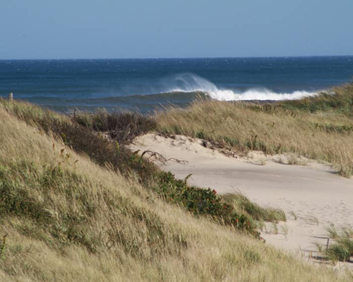 winds whip up spray at head of the meadow beach on dog-friendly cape cod national seashore