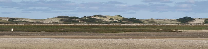 a distant sand dune backrops against race point beach