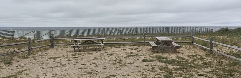 Picnic tables at Nauset Light Beach offer a scenic dog-friendly dining option in Eastham.