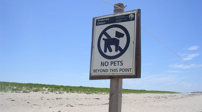 dogs aren't allowed on beaches in yarmouth. Bummer.