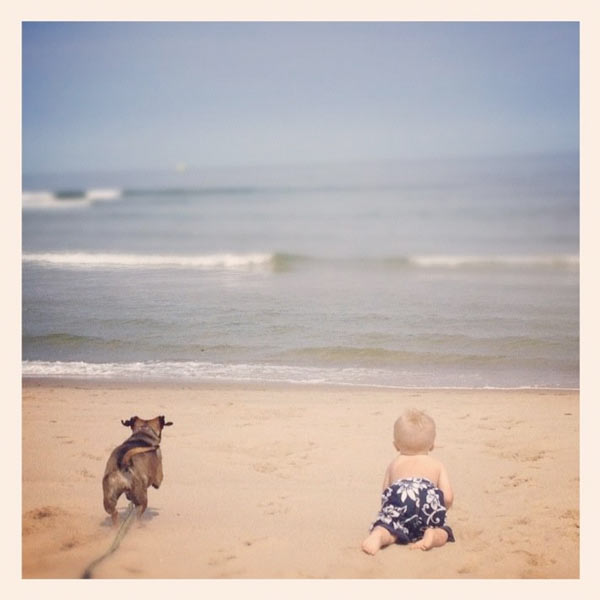 A boy and his dog race to the water at Marconi Beach in the summertime.