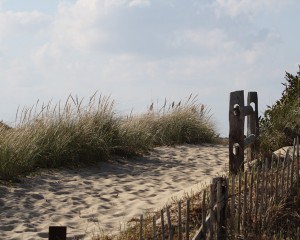 beach-path-head-of-meadow